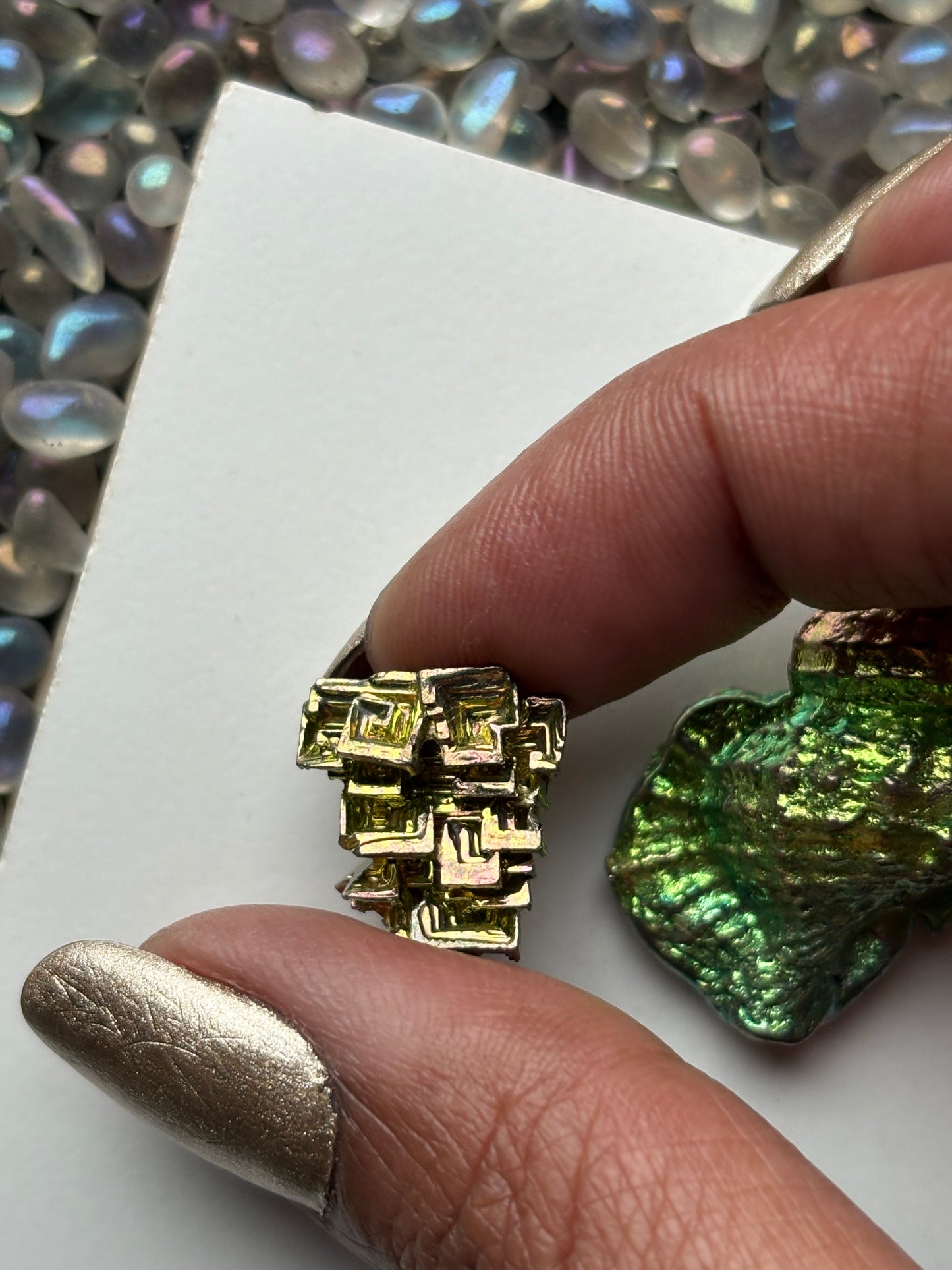 Bismuth Tulip Sea Shell Sculpture & Mini Crystal Gift Set