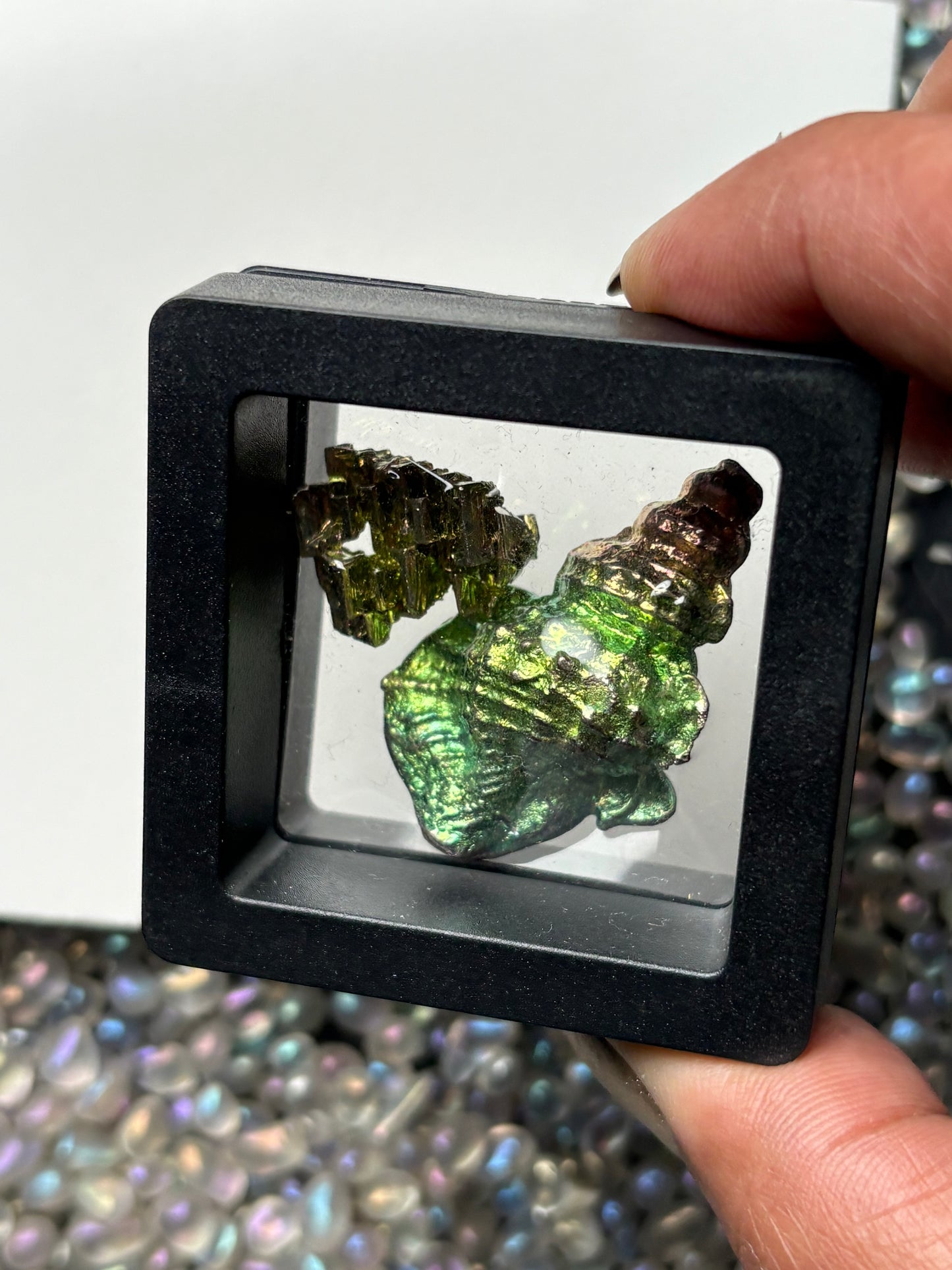 Bismuth Tulip Sea Shell Sculpture & Mini Crystal Gift Set