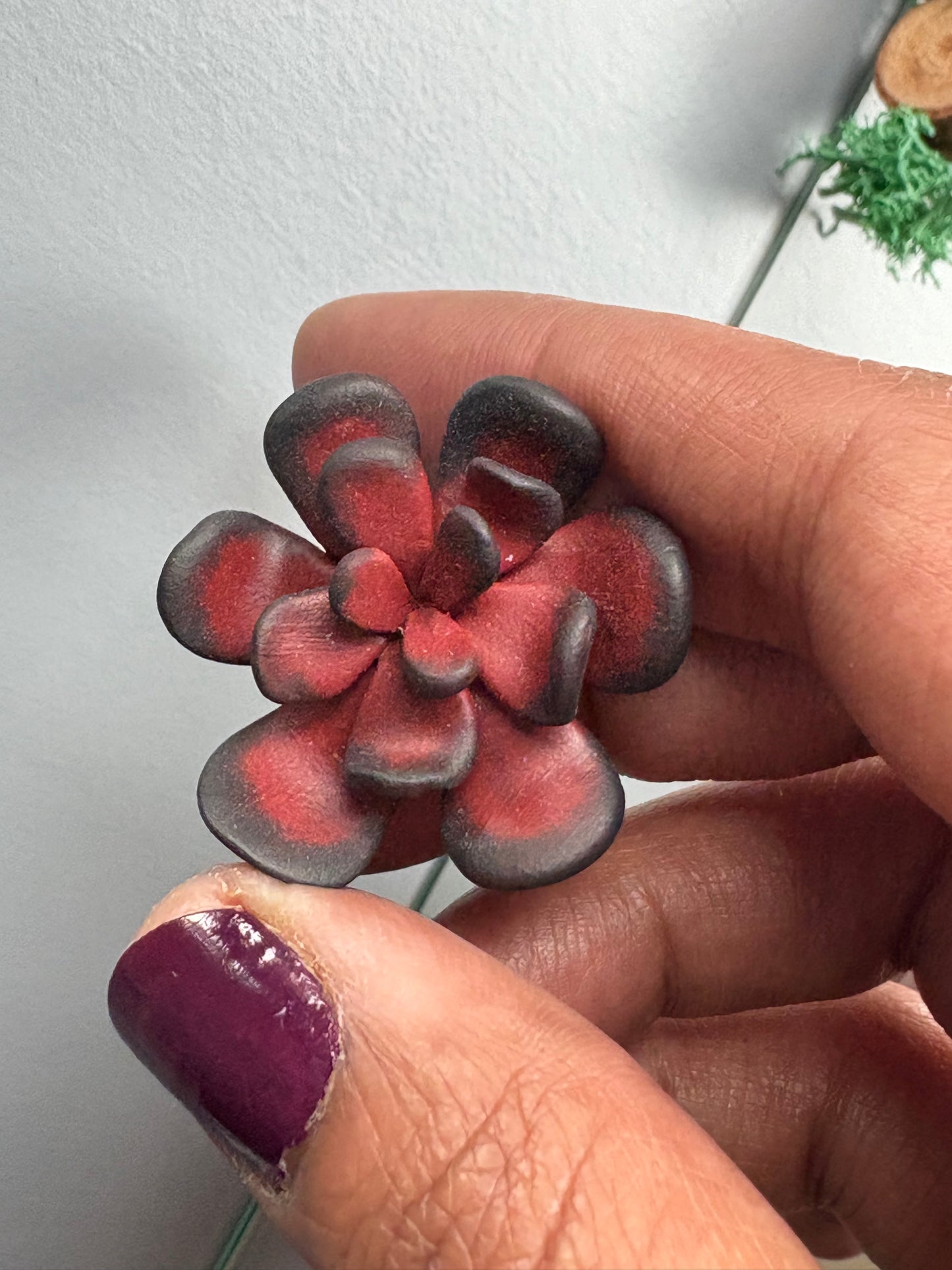 Red Black Succulent Plant Clay Sphere Mini Holder