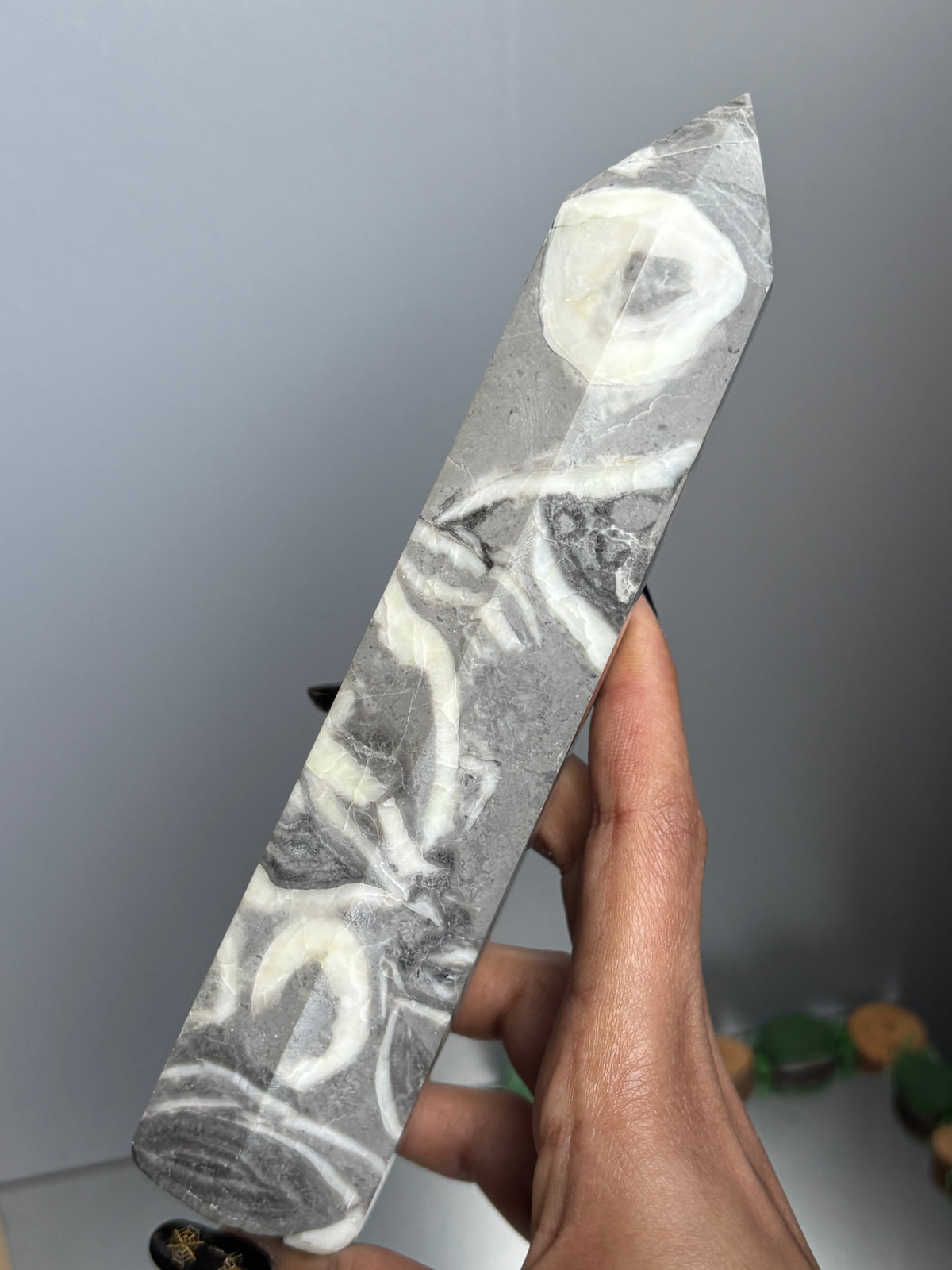 Thousand Eye Jasper Crystal Gemstone Tower Point - L1