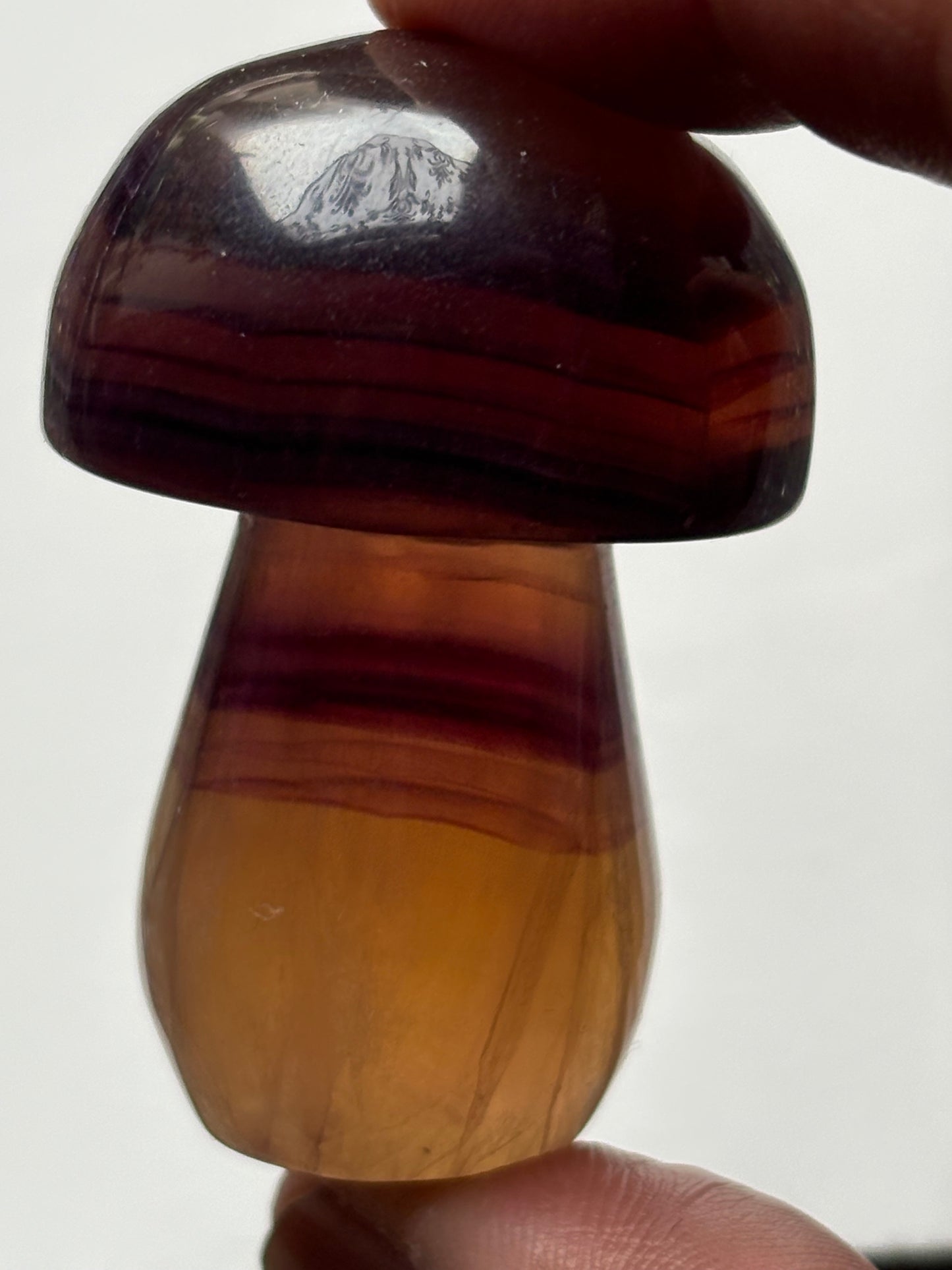 Purple Yellow Striped Fluorite Crystal Gemstone Mushroom Carving