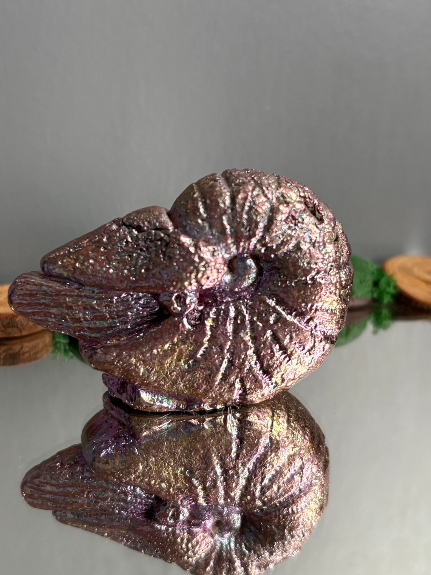 Pink Purple Bismuth Crystal Fossil (Nautilus) Metal Art Sculpture