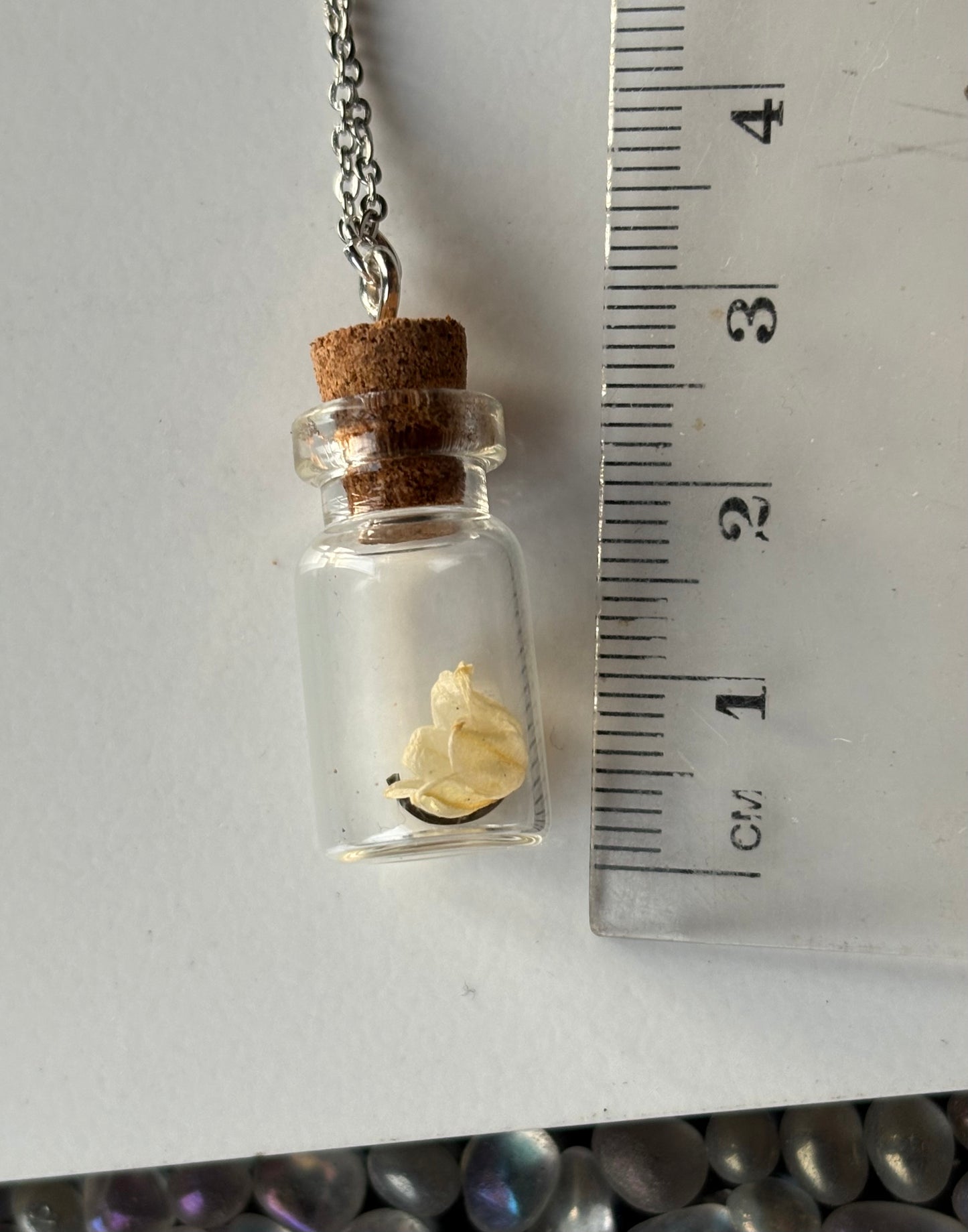 Secret Garden Dried Flower Vial Necklace Gift Set (silver)