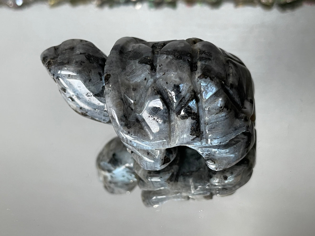 Larvikite Gemstone Crystal Turtle Animal Carving Small