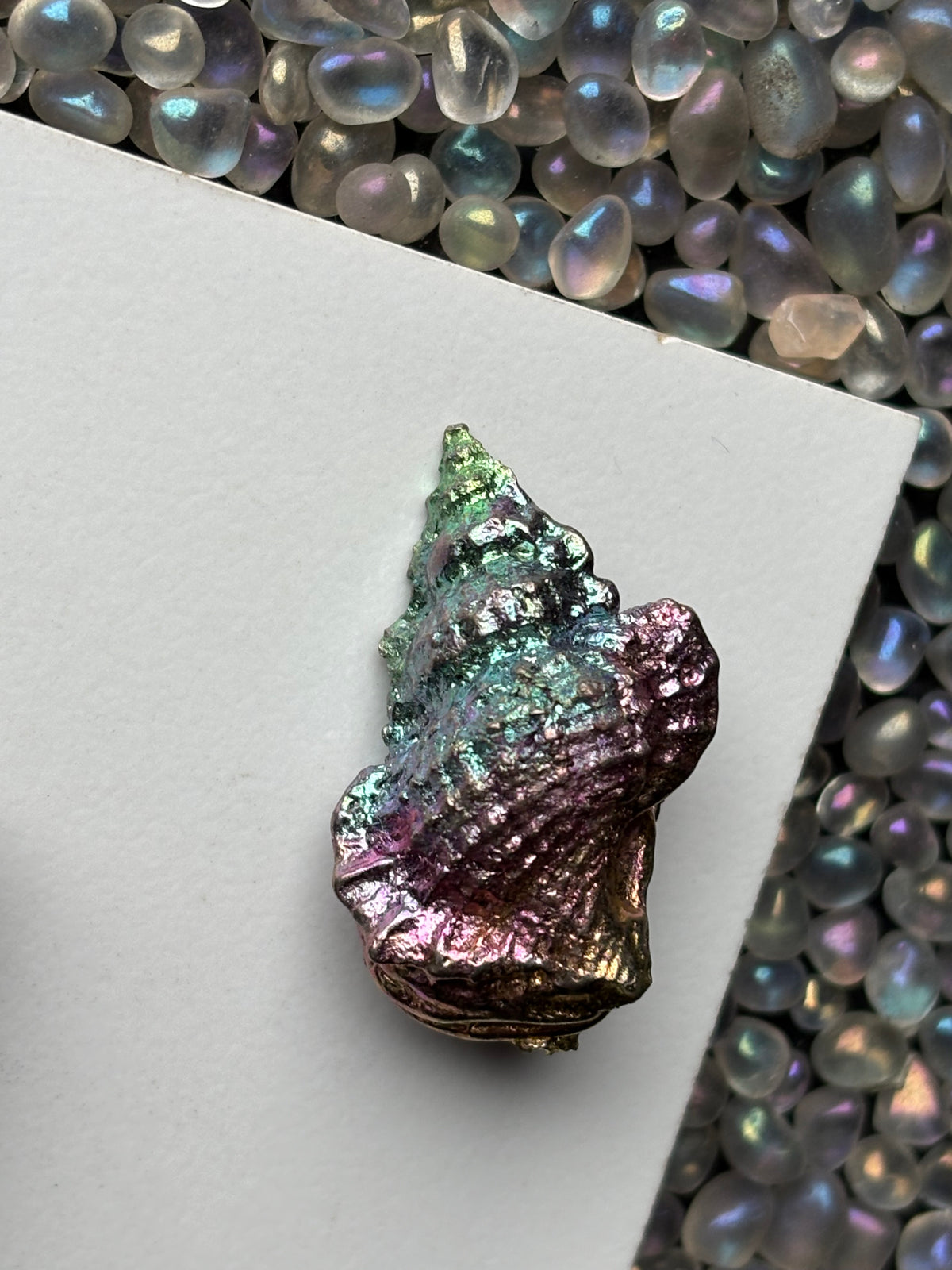 Rainbow Bismuth Crystal Tulip Sea Shell Metal Art Sculpture