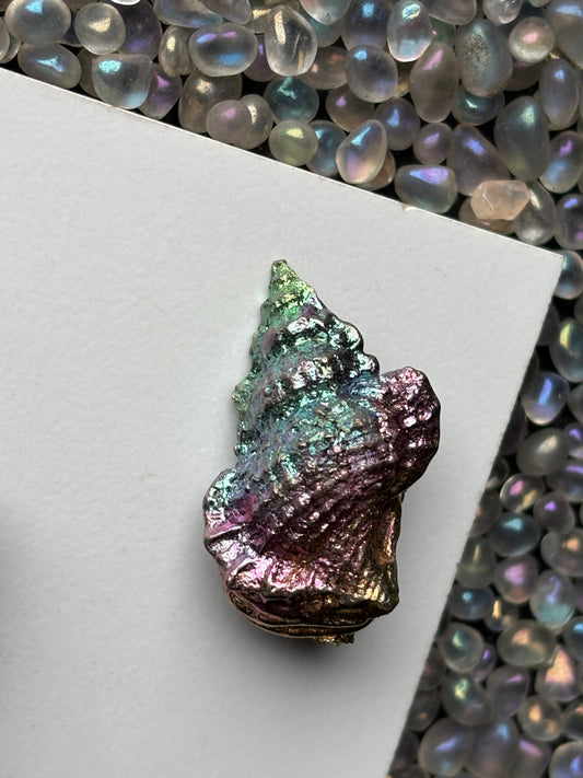 Rainbow Bismuth Crystal Tulip Sea Shell Metal Art Sculpture