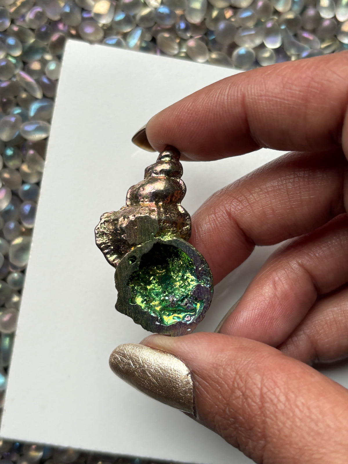Pink & Green Bismuth Crystal Tulip Sea Shell Metal Art Sculpture