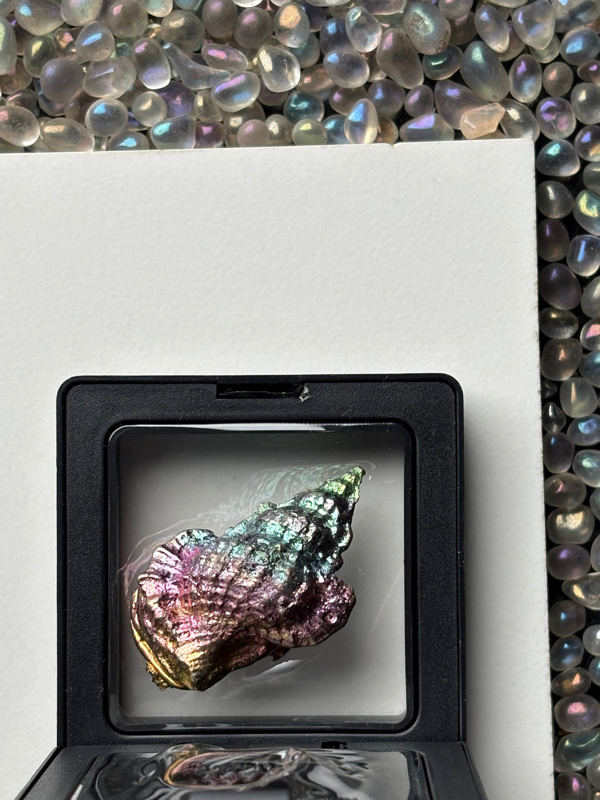 Rainbow Bismuth Crystal Tulip Sea Shell Metal Art Sculpture