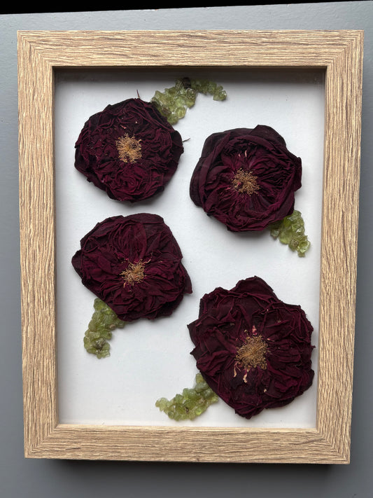 Full Dried Scottish Roses & Peridot Crystal Gemstone Leaf Art