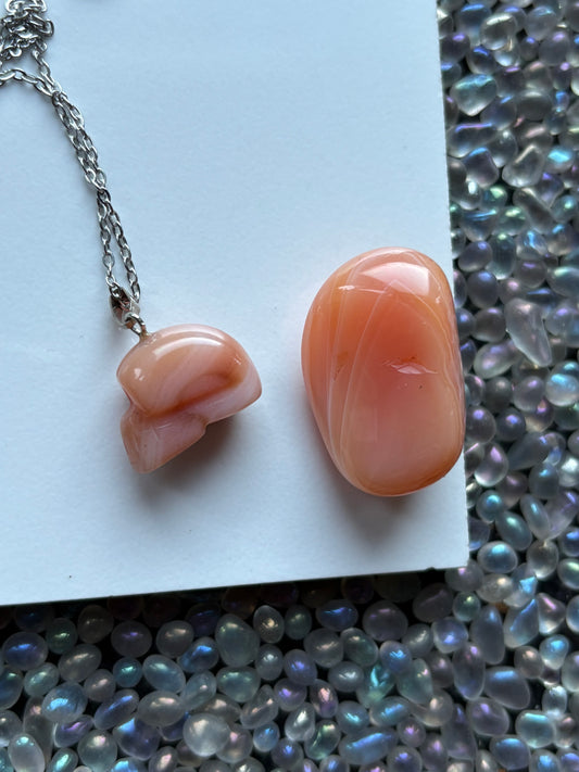 Carnelian Agate Crystal Gemstone Skull Carving Necklace & Tumbled Stone Gift Set