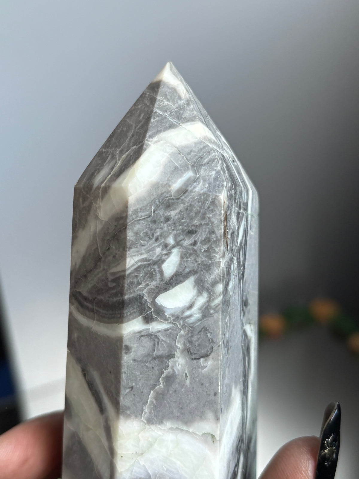 Thousand Eye Jasper Crystal Gemstone Tower Point - L1