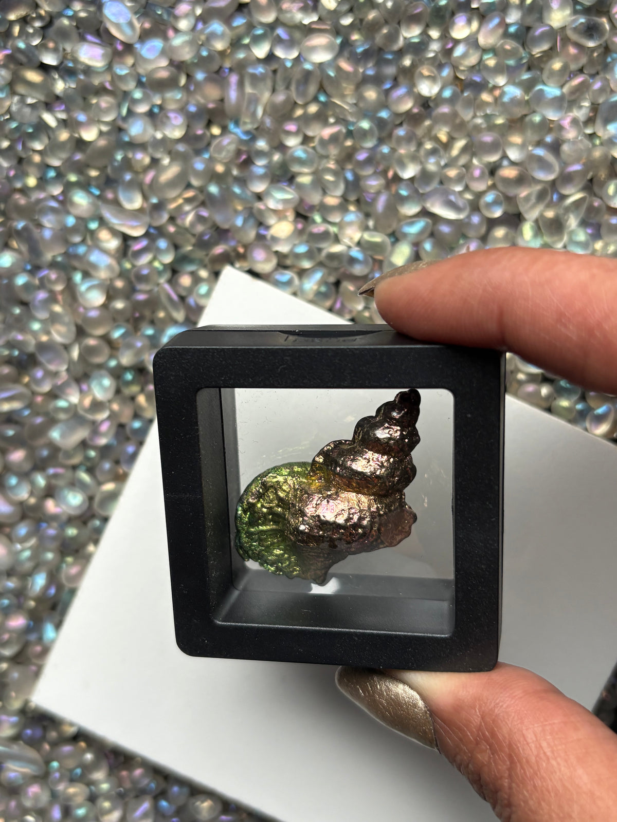 Pink & Green Bismuth Crystal Tulip Sea Shell Metal Art Sculpture