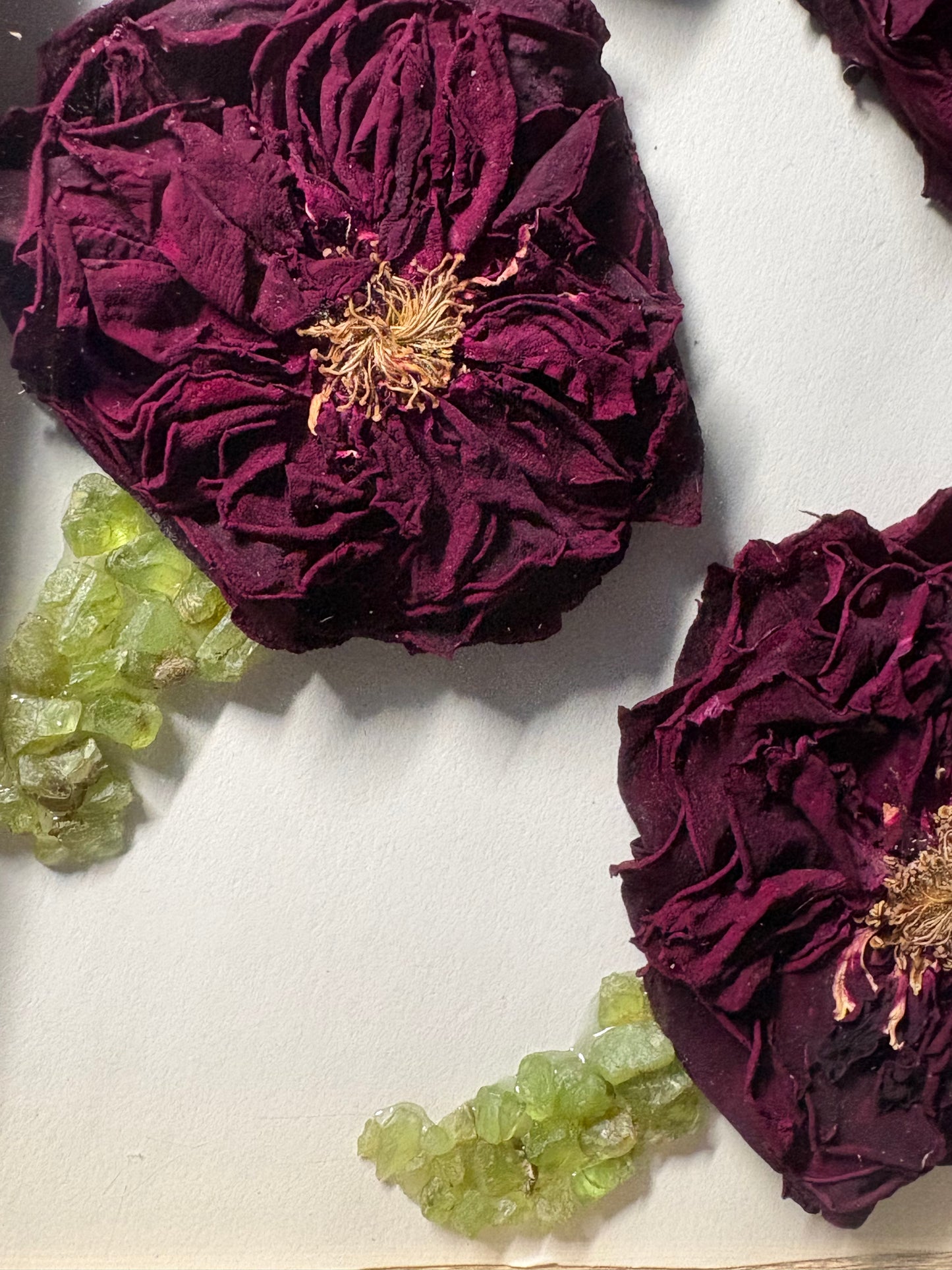 Full Dried Scottish Roses & Peridot Crystal Gemstone Leaf Art