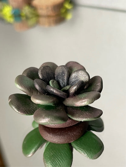 Succulent Plant Clay Sphere Mini Holder (A)