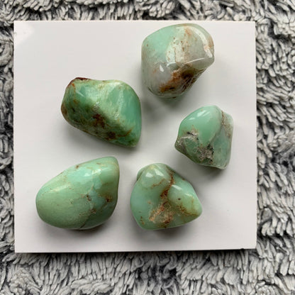 Green Chrysoprase Tumbled Gemstone Crystal - Large
