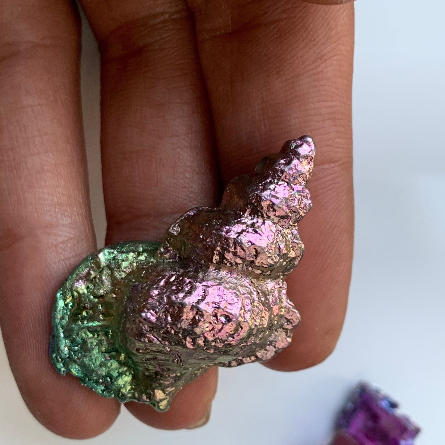 Pink & Green Bismuth Crystal Tulip Sea Shell Metal Art Sculpture