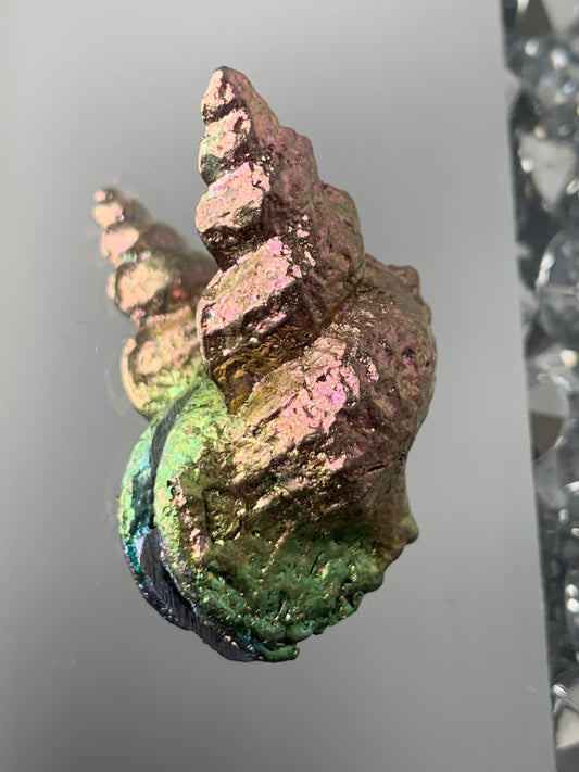 Pink & Green Bismuth Crystal Tulip Sea Shell Metal Art Sculpture