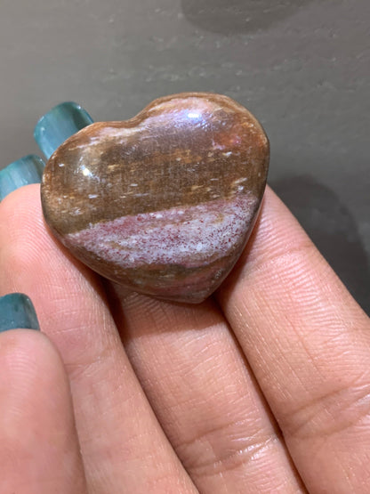Petrified Wood Fossil Crystal Gemstone Heart Carving (3)