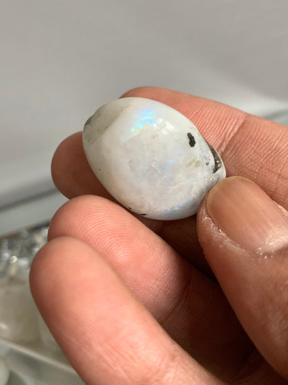 Rainbow Moonstone Grade A Tumbled Gemstone Crystal - Small