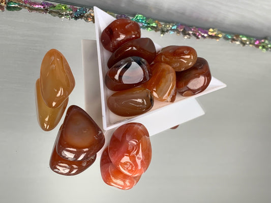 Carnelian Tumbled Gemstone Crystal - Small - Set of Two