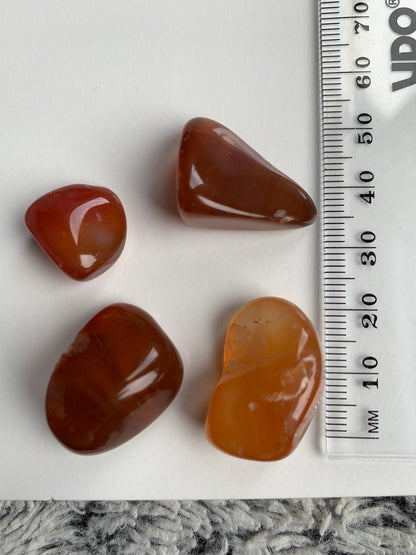 Carnelian Tumbled Gemstone Crystal - Small - Set of Two