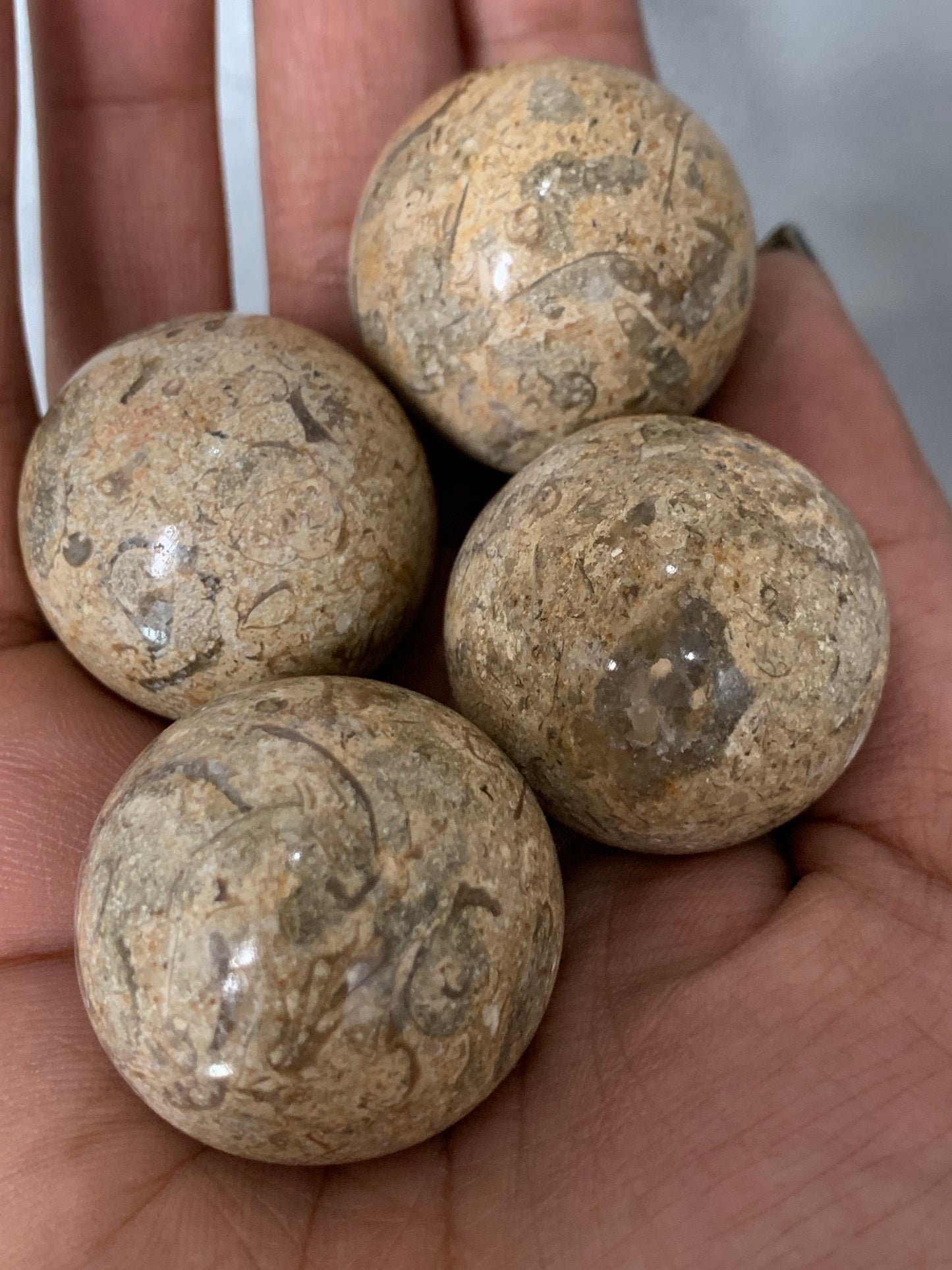 Fossil Jasper Crystal Gemstone Sphere - Small