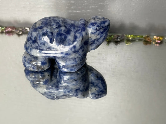 Sodalite Gemstone Crystal Turtle Animal Carving Small