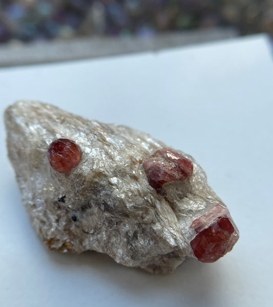 Spessertite Garnet In Schist Crystal Gemstone Rough Specimen (1)