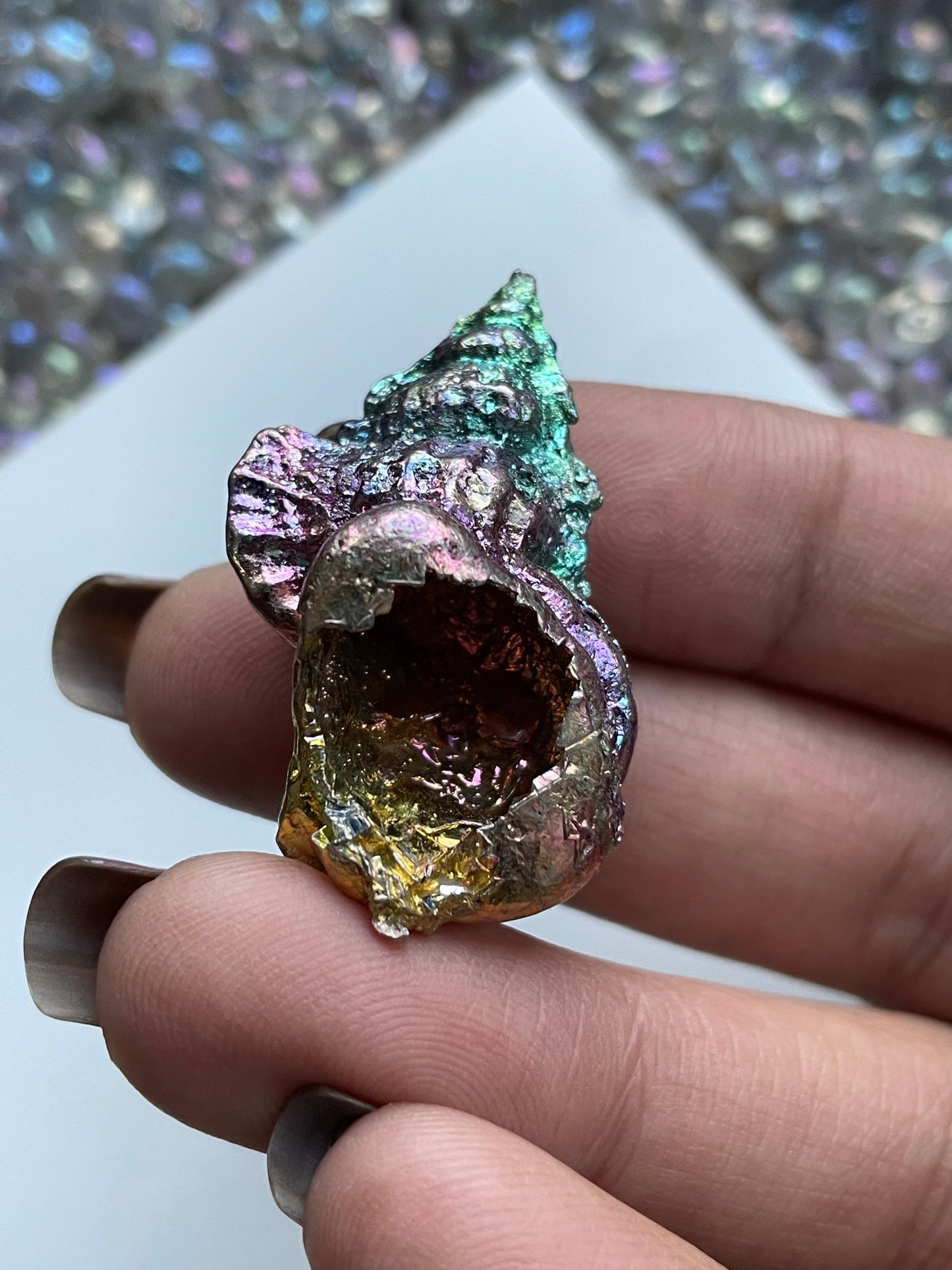 Rainbow Bismuth Crystal Tulip Sea Shell Metal Art Sculpture