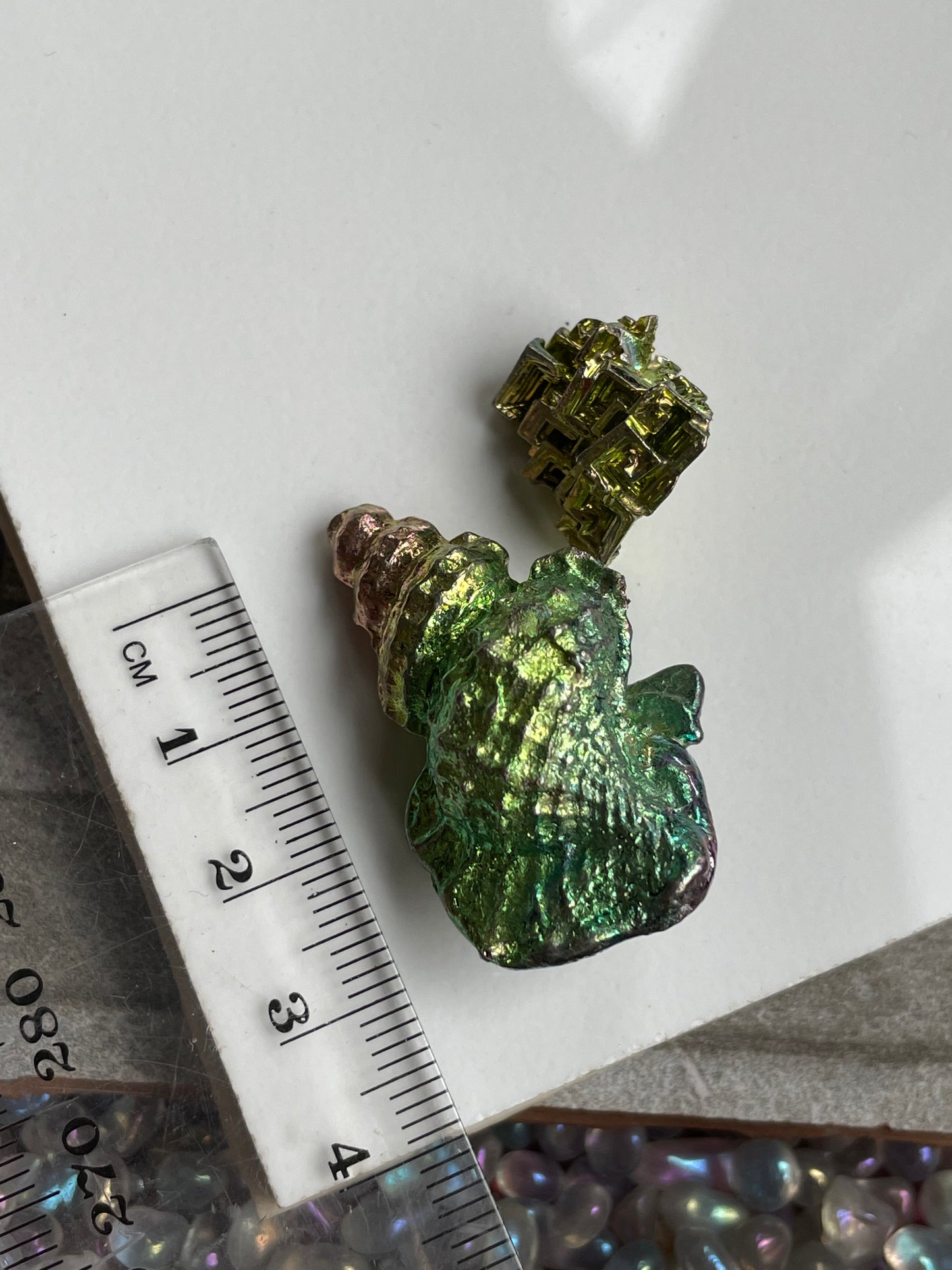 Bismuth Tulip Sea Shell & Mini Crystal Pack Set