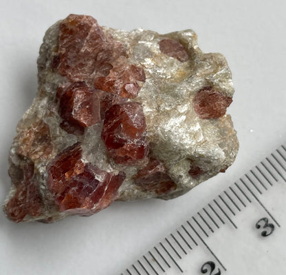Spessertite Garnet In Schist Crystal Gemstone Rough Specimen (4)