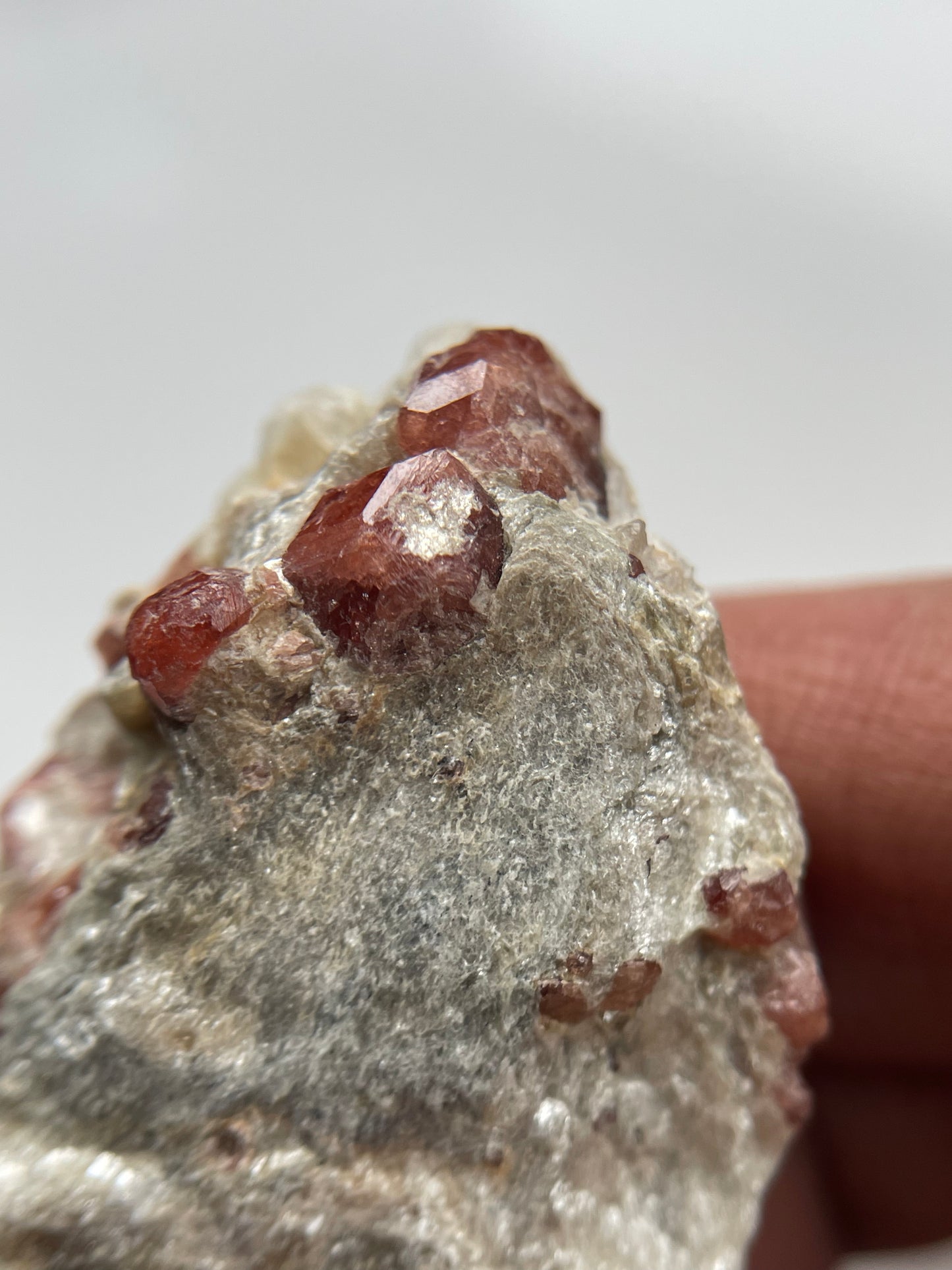 Spessertite Garnet In Schist Crystal Gemstone Rough Specimen (2)