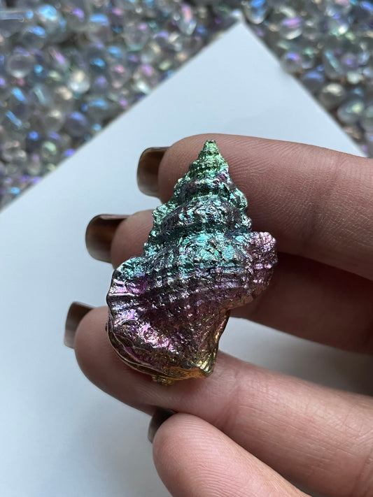 Rainbow Bismuth Crystal Tulip Sea Shell Metal Art Sculpture