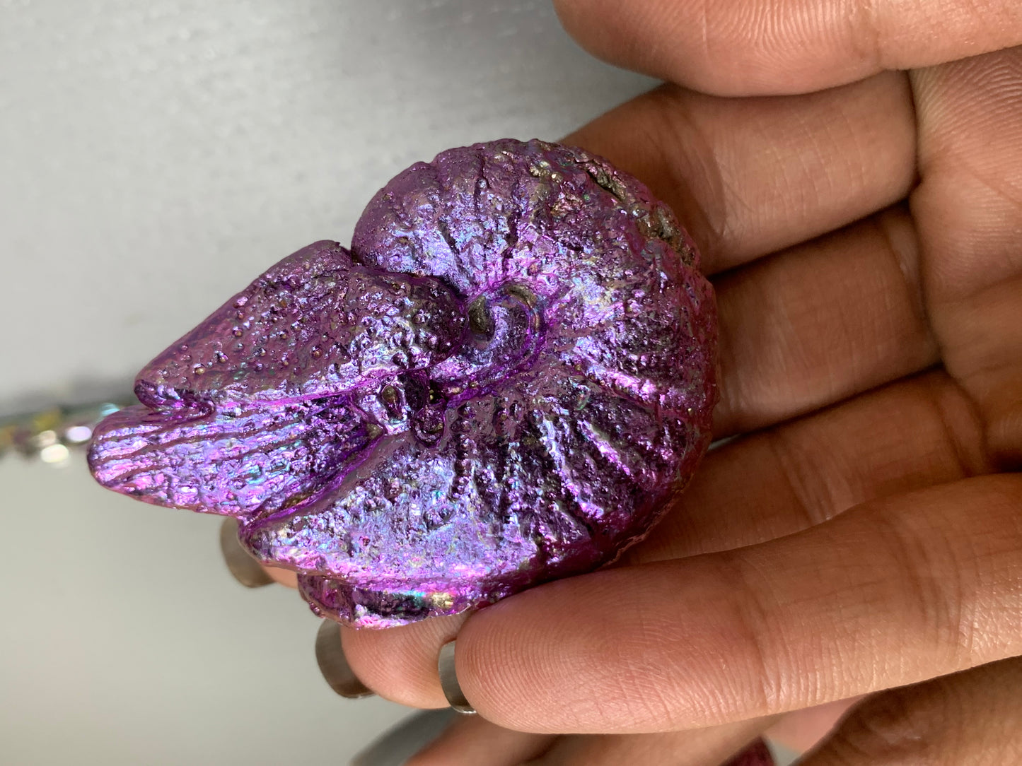 Pink Purple Bismuth Crystal Fossil (Nautilus) Metal Art Sculpture